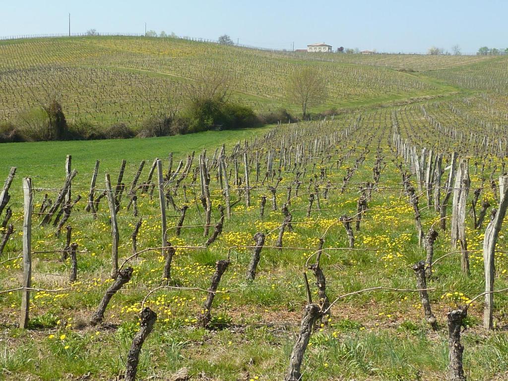 Le Dormeur Du Val Acomodação com café da manhã Le Mas-dʼAgenais Exterior foto